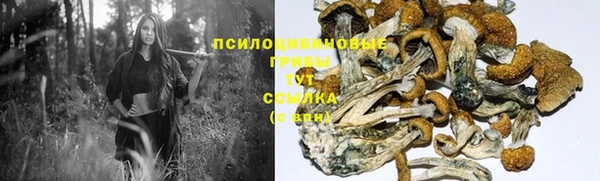 mdpv Кинешма