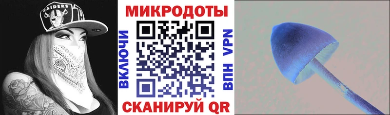Псилоцибиновые грибы GOLDEN TEACHER  Купить закладки  Верхняя Пышма 